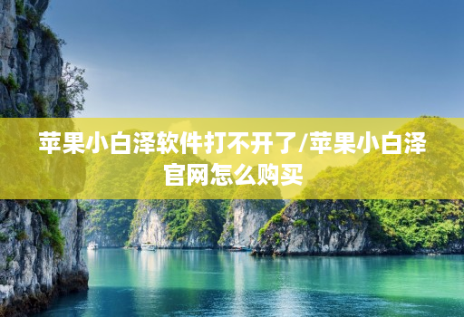 苹果小白泽软件打不开了/苹果小白泽官网怎么购买