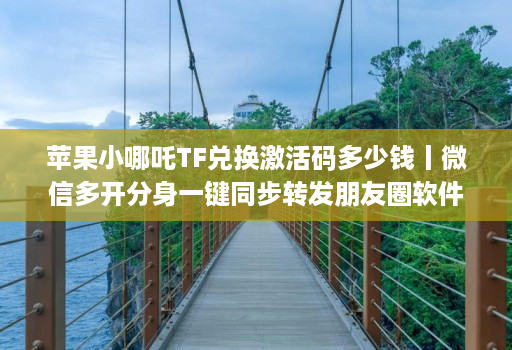 苹果小哪吒TF兑换激活码多少钱丨微信多开分身一键同步转发朋友圈软件