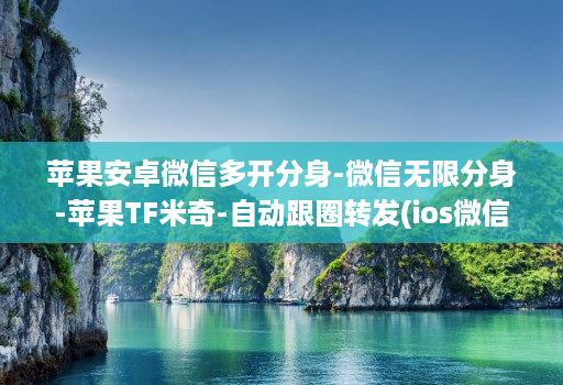 苹果安卓微信多开分身-微信无限分身-苹果TF米奇-自动跟圈转发(ios微信分身2020 )