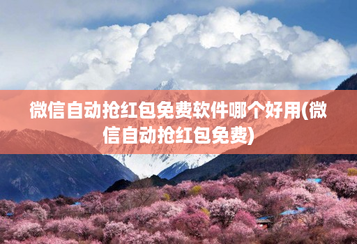 微信自动抢红包免费软件哪个好用(微信自动抢红包免费)