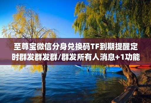 至尊宝微信分身兑换码TF到期提醒定时群发群发群/群发所有人消息+1功能callkit通话