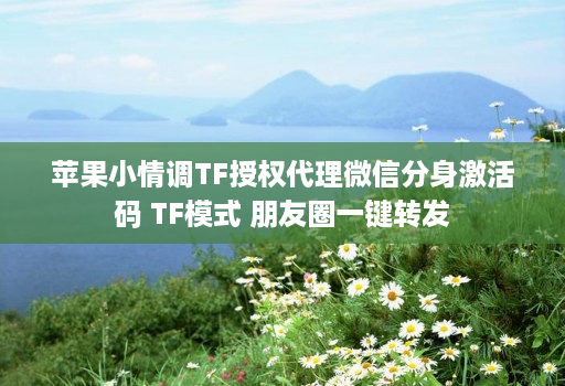 苹果小情调TF授权代理微信分身激活码 TF模式 朋友圈一键转发