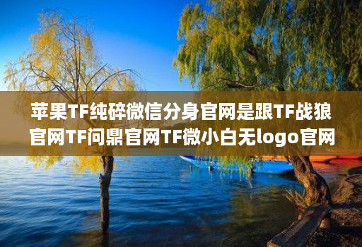 苹果TF纯碎微信分身官网是跟TF战狼官网TF问鼎官网TF微小白无logo官网龙宝同一款高端配置