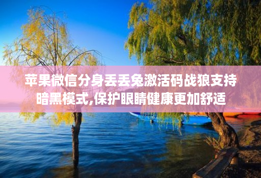 苹果微信分身丢丢兔激活码战狼支持暗黑模式,保护眼睛健康更加舒适