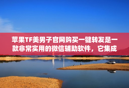 苹果TF美男子官网购买一键转发是一款非常实用的微信辅助软件，它集成了多个实用功能