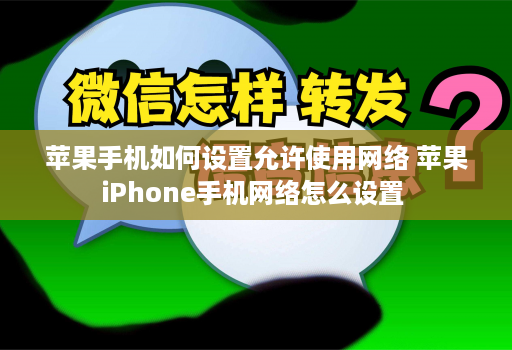 苹果手机如何设置允许使用网络 苹果iPhone手机网络怎么设置 