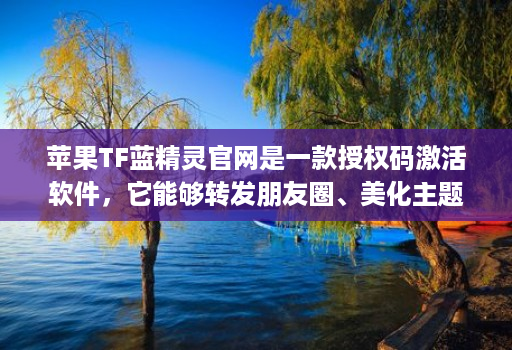 苹果TF蓝精灵官网是一款授权码激活软件，它能够转发朋友圈、美化主题、隐藏密友和自动跟圈，还具备分身功能