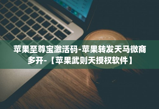 苹果至尊宝激活码-苹果转发天马微商多开-【苹果武则天授权软件】
