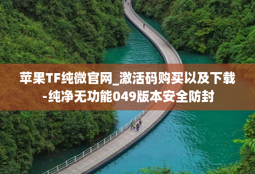 苹果TF纯微官网_激活码购买以及下载-纯净无功能049版本安全防封