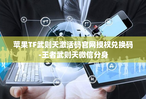 苹果TF武则天激活码官网授权兑换码-王者武则天微信分身