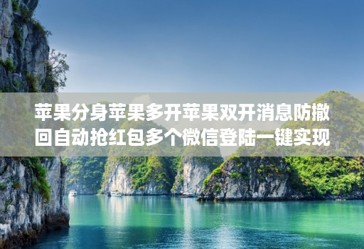 苹果分身苹果多开苹果双开消息防撤回自动抢红包多个微信登陆一键实现双开