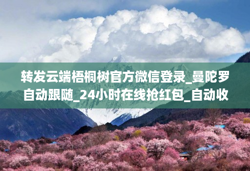 转发云端梧桐树官方微信登录_曼陀罗自动跟随_24小时在线抢红包_自动收款