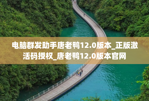 电脑群发助手唐老鸭12.0版本_正版激活码授权_唐老鸭12.0版本官网