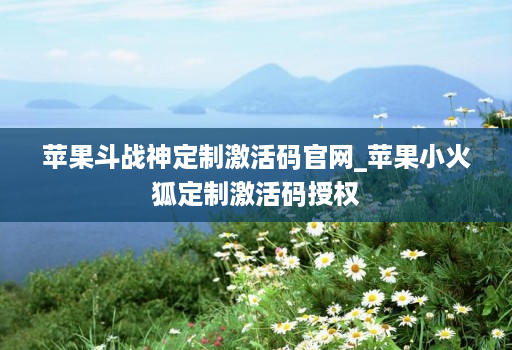 苹果斗战神定制激活码官网_苹果小火狐定制激活码授权