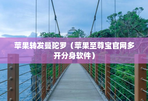 苹果转发曼陀罗（苹果至尊宝官网多开分身软件）