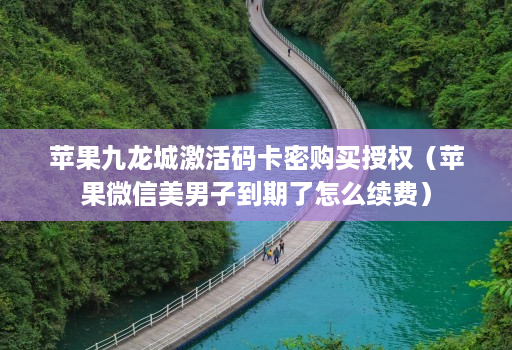 苹果九龙城激活码卡密购买授权（苹果微信美男子到期了怎么续费）