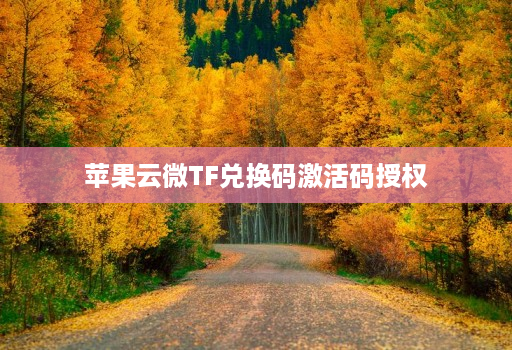 苹果云微TF兑换码激活码授权