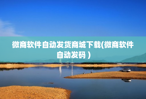 微商软件自动发货商城下载(微商软件自动发码 )