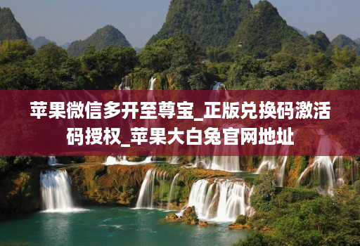 苹果微信多开至尊宝_正版兑换码激活码授权_苹果大白兔官网地址