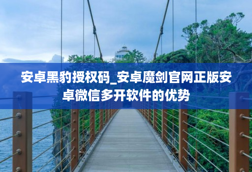 安卓黑豹授权码_安卓魔剑官网正版安卓微信多开软件的优势