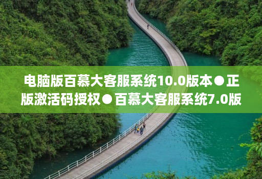 电脑版百慕大客服系统10.0版本●正版激活码授权●百慕大客服系统7.0版本使用教程
