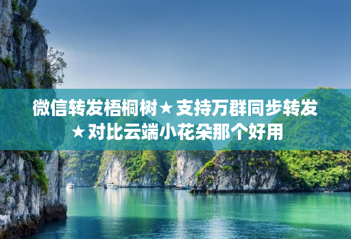 微信转发梧桐树★支持万群同步转发★对比云端小花朵那个好用