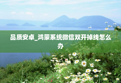 品质安卓_鸿蒙系统微信双开掉线怎么办