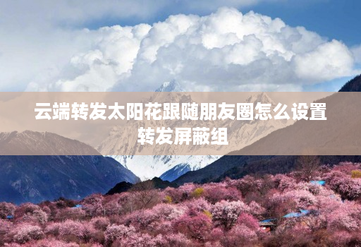 云端转发太阳花跟随朋友圈怎么设置 转发屏蔽组