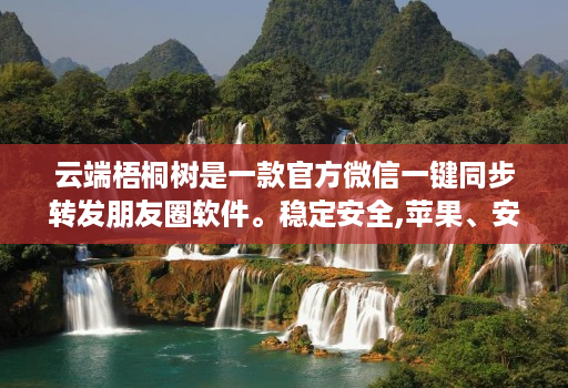 云端梧桐树是一款官方微信一键同步转发朋友圈软件。稳定安全,苹果、安卓、华为手机通用