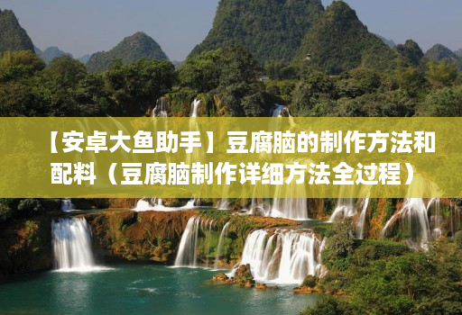 【安卓大鱼助手】豆腐脑的制作方法和配料（豆腐脑制作详细方法全过程）