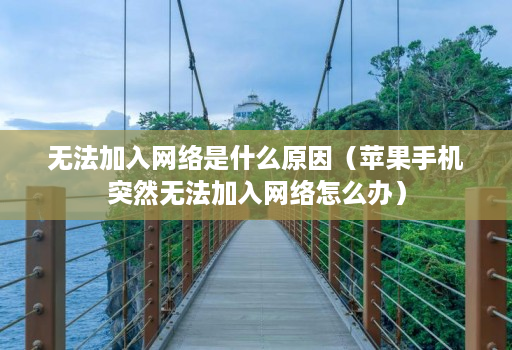 无法加入网络是什么原因（苹果手机突然无法加入网络怎么办）