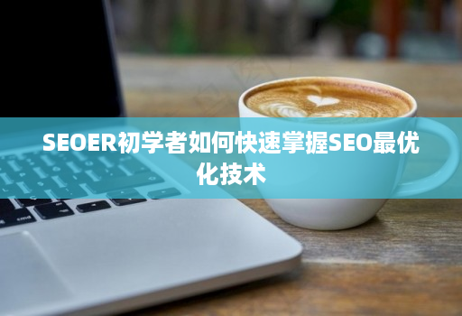 SEOER初学者如何快速掌握SEO最优化技术