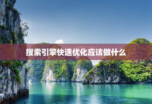 搜索引擎快速优化应该做什么